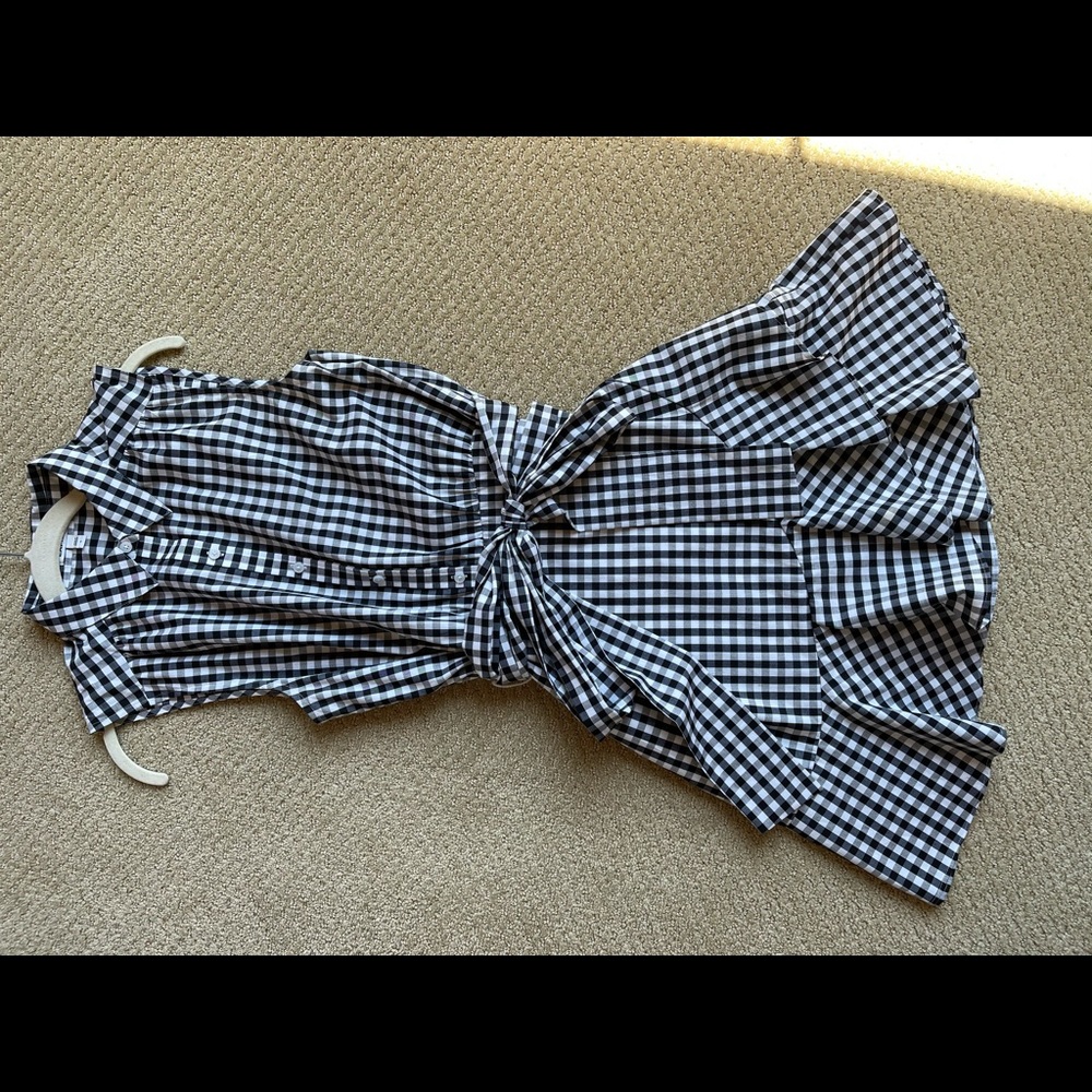 Express Women’s Gingham Button Down Flounce Dress